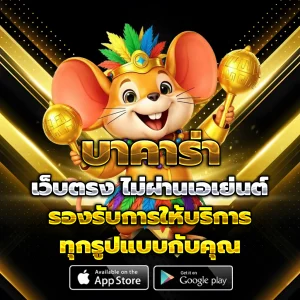 kng368 app